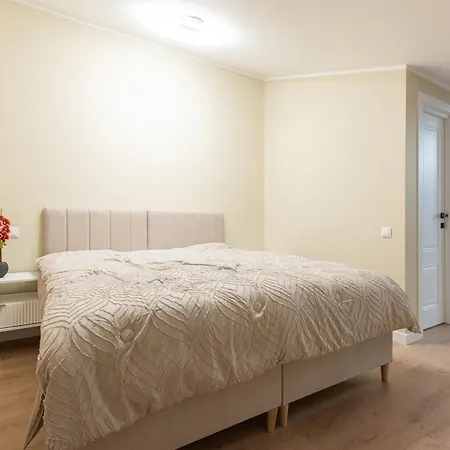 Cheerful & Modern In Town Center *